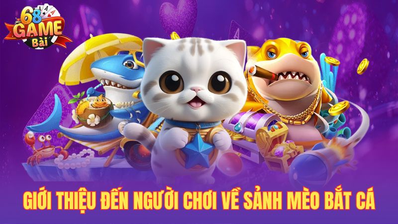Giới thiệu đến người chơi về sảnh mèo bắt cá
