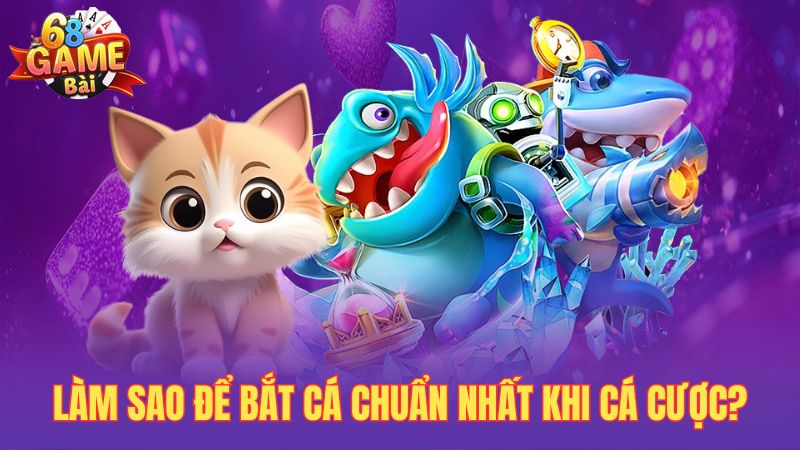 Làm sao để bắt cá chuẩn nhất khi cá cược?